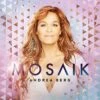 Sony CD Andrea Berg - Mosaik (Limitierte Premium-Edition)